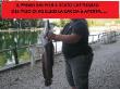 big_fish!!del_peso_di_kg_8.300.jpg