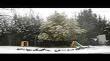 dscn0828.jpg