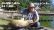 img-20170529-wa0004.jpg